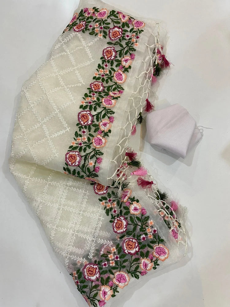 Designer organza saree